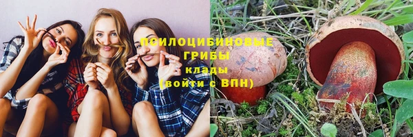 ешки Кодинск