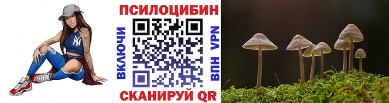 Псилоцибиновые грибы MAGIC MUSHROOMS  Пушкино 