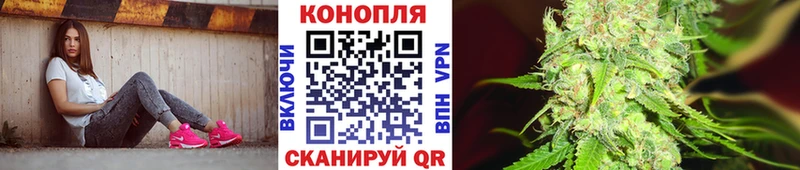 Конопля сатива  Пушкино 